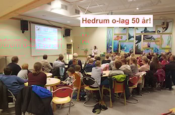 Årsrapporten 2016 er nå tilgjengelig!